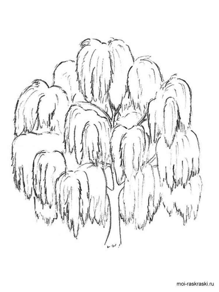750x1000 Willow Tree Coloring Page Simple Living Tree In The World Places
