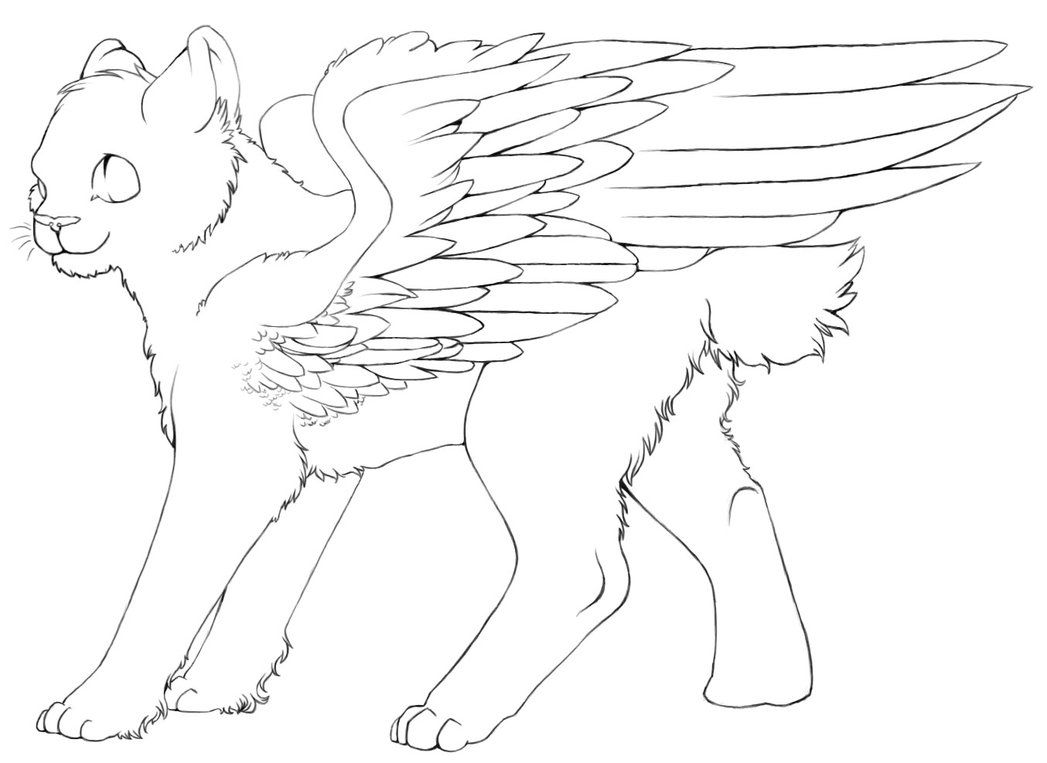 Stunning Of Funny Fox With Wings Coloring Page Winged Cat 1047x763 Stunning Of Funny Fox With Wings Coloring Page Winged Cat