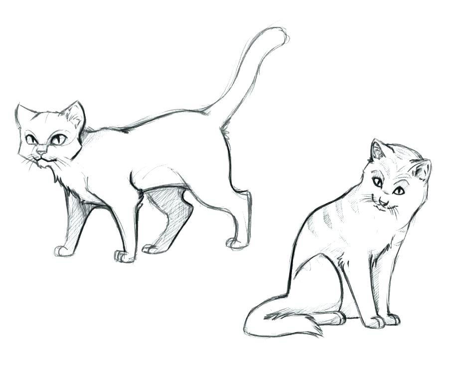 Warrior Cat Coloring Pages 909x761 Warrior Cat Coloring Pages