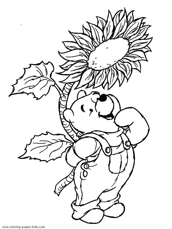 Winnie The Pooh Coloring Page The Pooh Coloring Page The Pooh 600x800 Winnie The Pooh Coloring Page The Pooh Coloring Page The Pooh