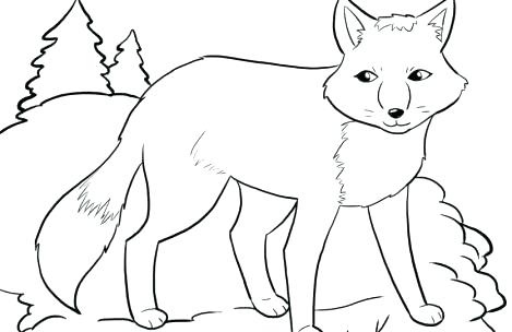 469x304 Free Printable Farm Animals Colouring Pages Home Improvement