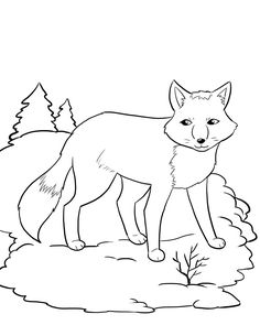 236x305 Polar Animals Printable Templates Amp Coloring Pages