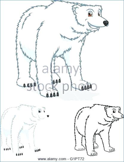 415x540 Winter Animal Coloring Pages Cute Cartoon Polar Bear Ice Stock S