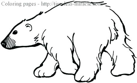 465x282 Winter Animal Coloring Pages Winter Animals Coloring Pages Winter