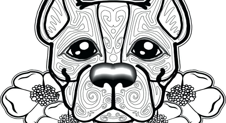 Coloring Pages For Kids Valentines Dog Winter Coats Page Coat 735x400 Coloring Pages For Kids Valentines Dog Winter Coats Page Coat