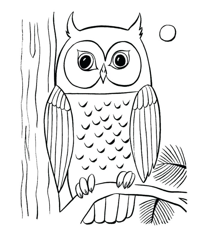 700x796 Coloring Pages Printable Owl Coloring Page Winter Themed Printable