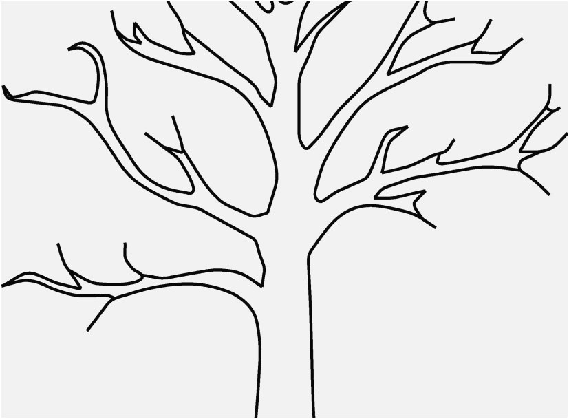 827x609 The Perfect Stock Tree Coloring Pages Marvelous