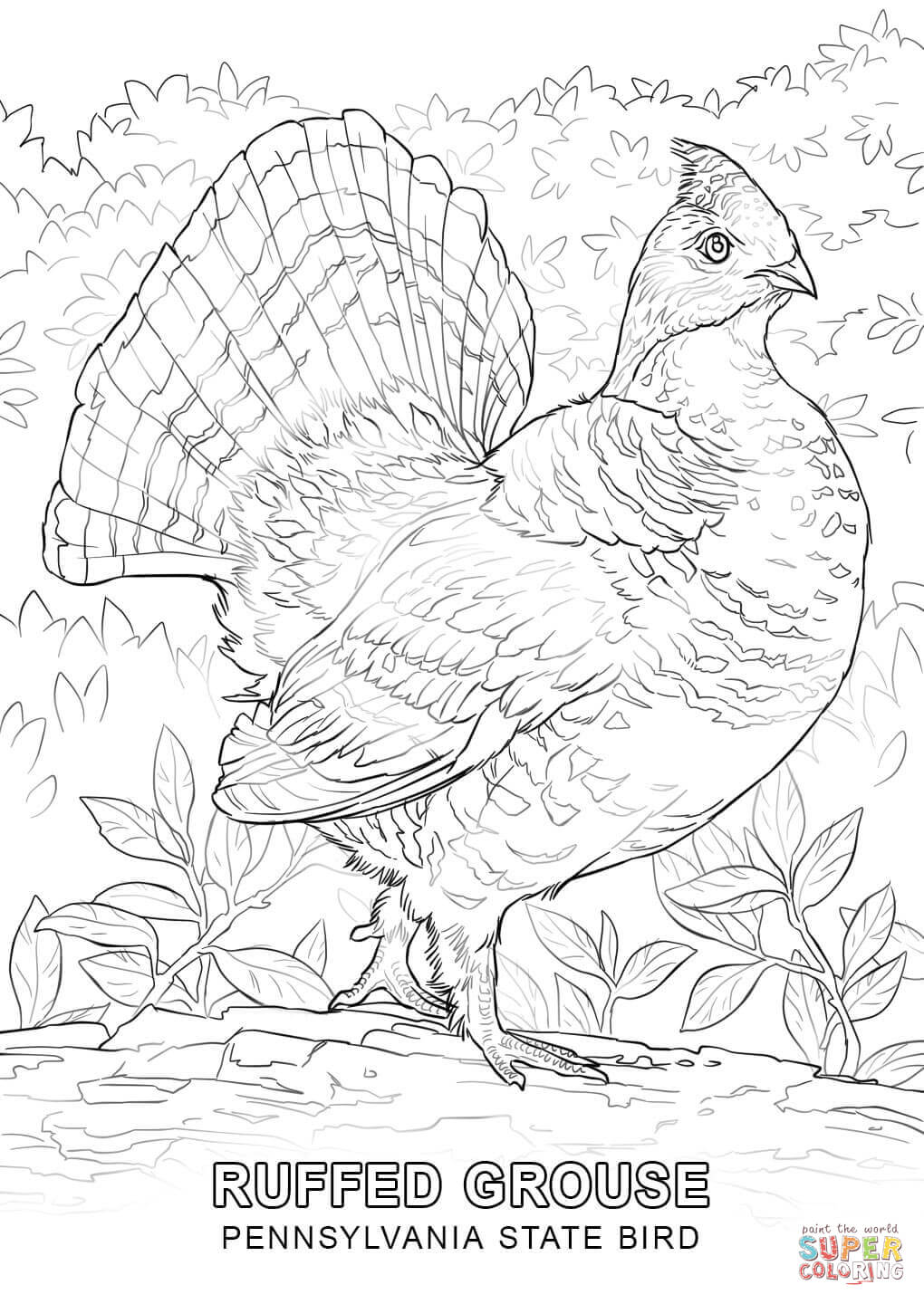 1020x1440 Kansas State Bird Coloring Page Pennsylvania