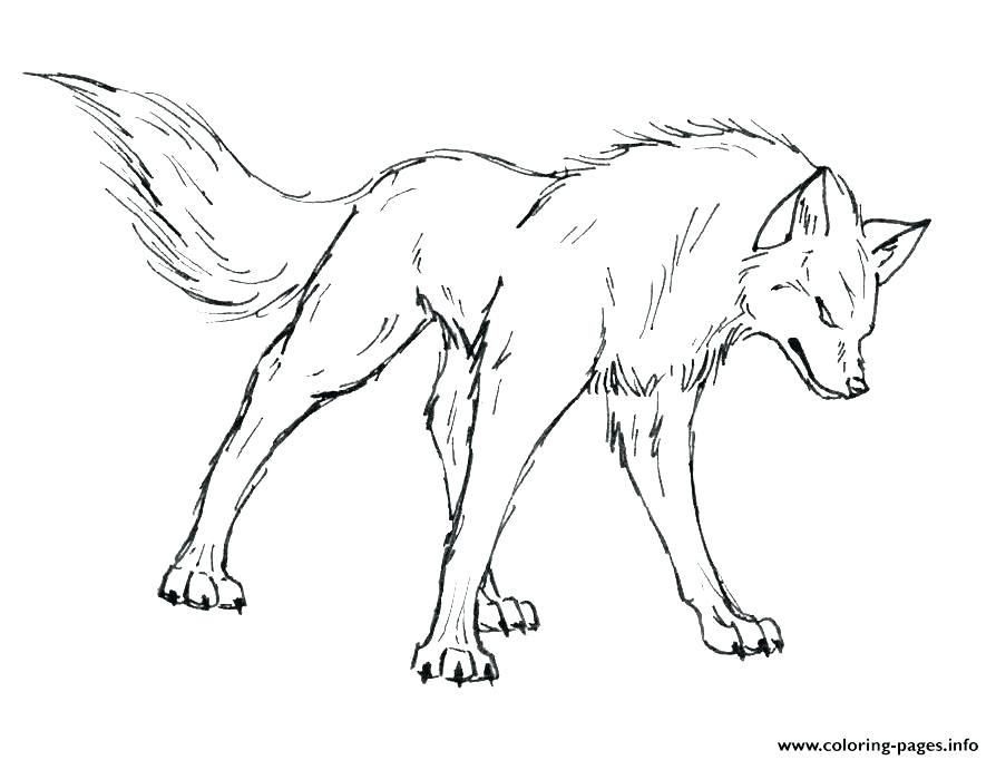 Anime Wolf Coloring Pages Wolf Coloring Pages Printable Wolf 894x682 Anime Wolf Coloring Pages Wolf Coloring Pages Printable Wolf