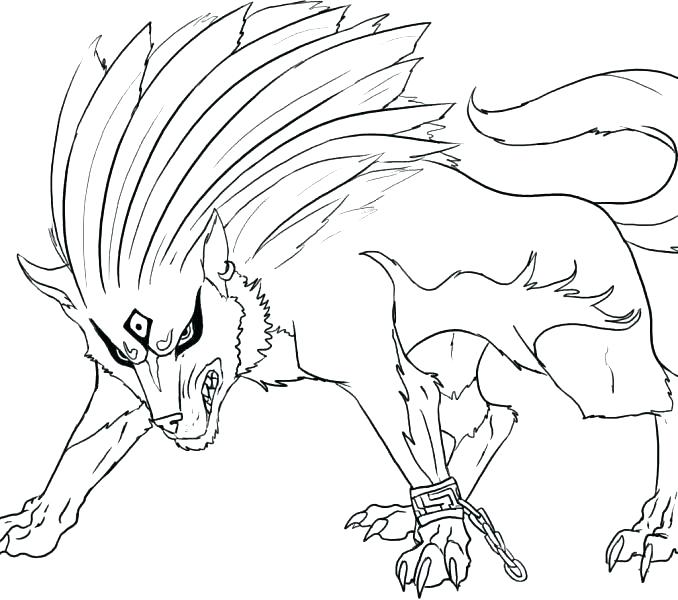 678x600 Grey Wolf Coloring Pages Lovely Grey Wolf Ng Pages Kids Printable