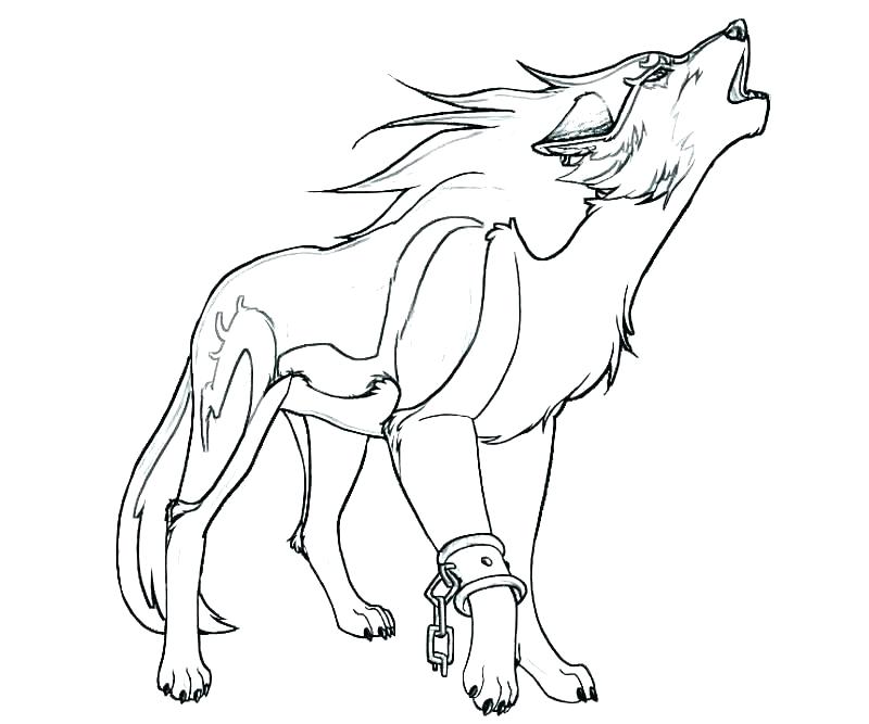 800x667 Wolf Pack Coloring Pages Peter And The Wolf Coloring Pages Peter
