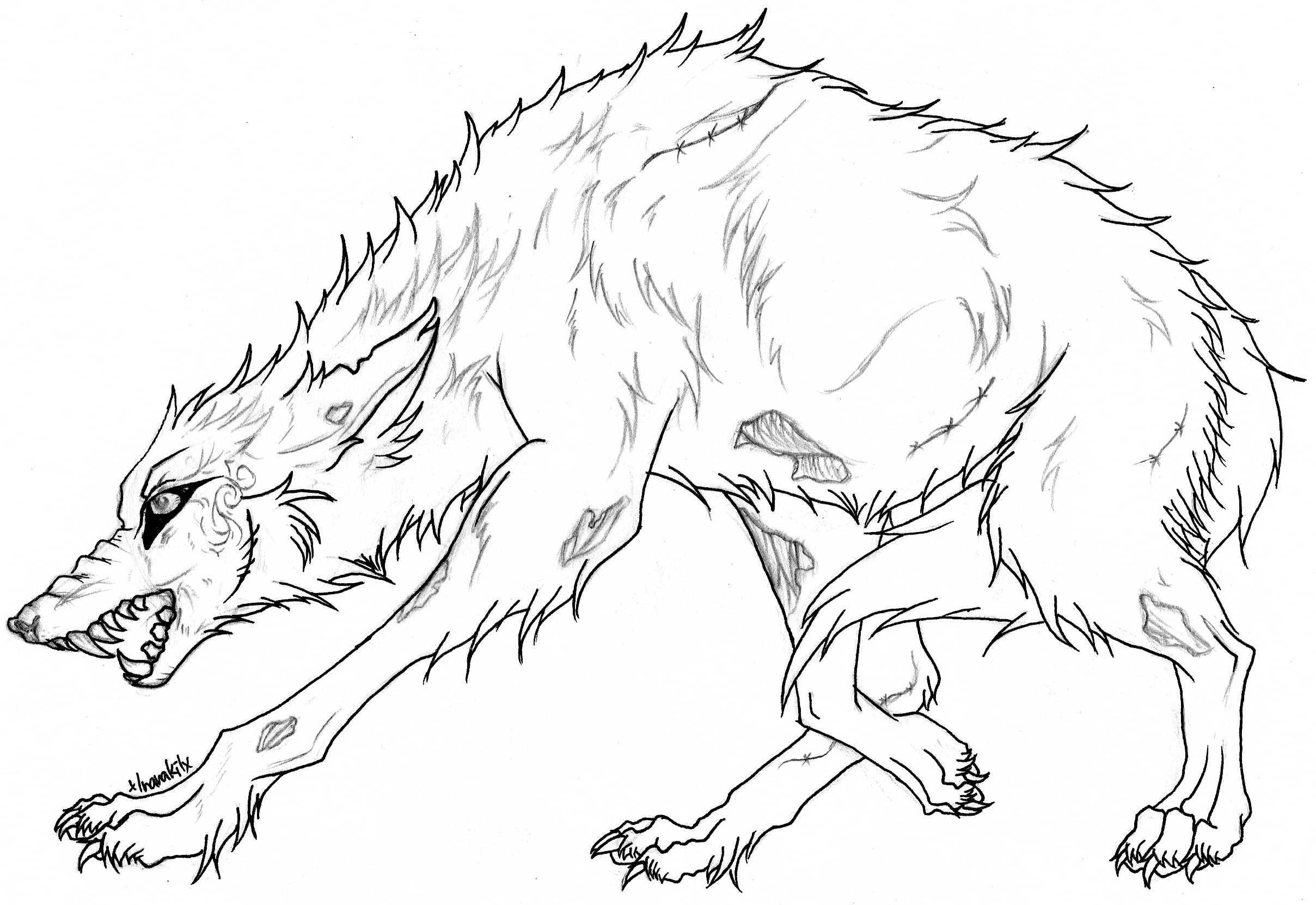 Realistic Wolf Coloring Pages 2417x1662 Realistic Wolf Coloring Pages