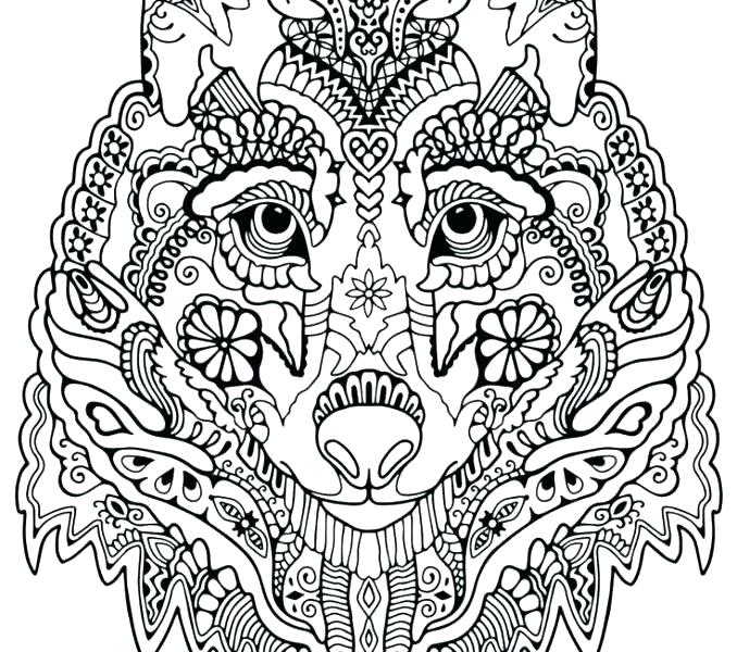 Winged Wolf Coloring Pages Lovely Wolf Coloring Pages For Adults 678x600 Winged Wolf Coloring Pages Lovely Wolf Coloring Pages For Adults