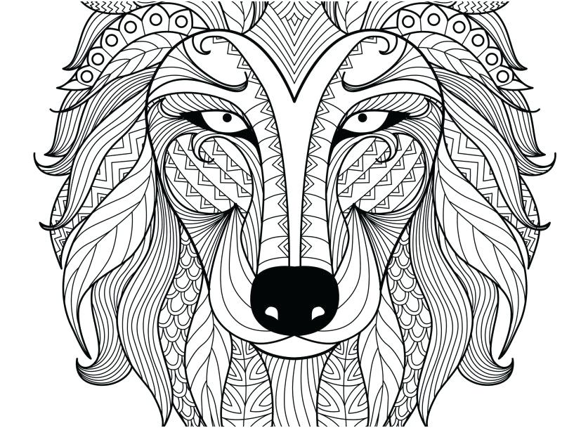 Wolf Coloring Book Gray Wolf Coloring Page Grey Wolf Coloring 827x609 Wolf Coloring Book Gray Wolf Coloring Page Grey Wolf Coloring