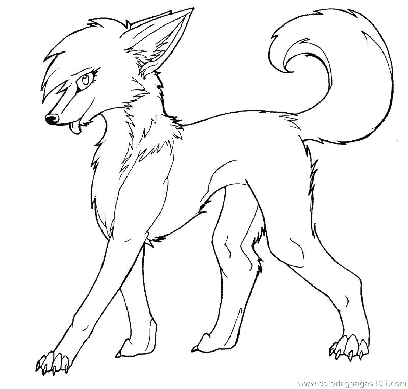 Anime Wolf Coloring Pages Wolf Coloring Pages Wolf Color Pages 800x763 Anime Wolf Coloring Pages Wolf Coloring Pages Wolf Color Pages