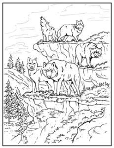 Wolf Coloring Pages For Adults 231x300 Wolf Coloring Pages For Adults