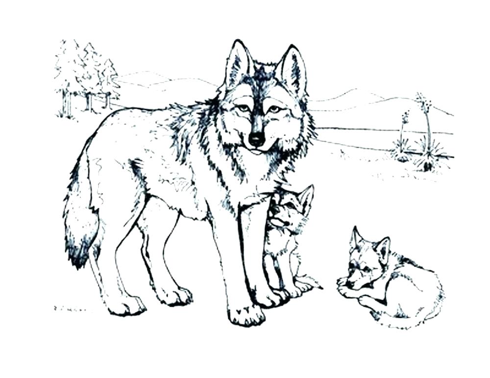 Wolf Coloring Pages For Adults at GetColorings.com | Free printable ...