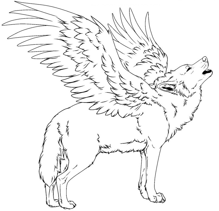 Winged Wolf Coloring Pages 900x867 Winged Wolf Coloring Pages