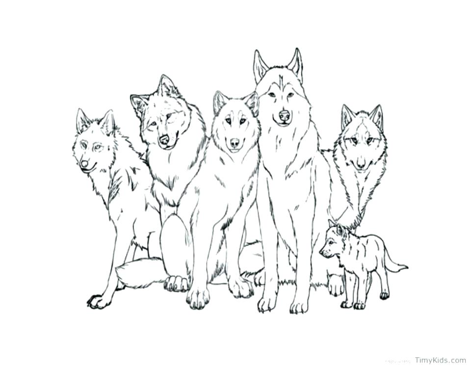 Coloring Pages Wolf Wolves Coloring Pages Wolf Coloring Pages Free 960x748 Coloring Pages Wolf Wolves Coloring Pages Wolf Coloring Pages Free