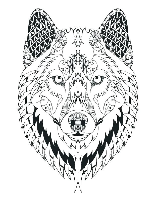 Stunning Free Wolf Coloring Pages Latest Realistic Wolf Coloring 621x800 Stunning Free Wolf Coloring Pages Latest Realistic Wolf Coloring