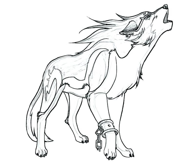 Wolf Coloring Page Wolf Coloring Pages Background Coloring 800x667 Wolf Coloring Page Wolf Coloring Pages Background Coloring