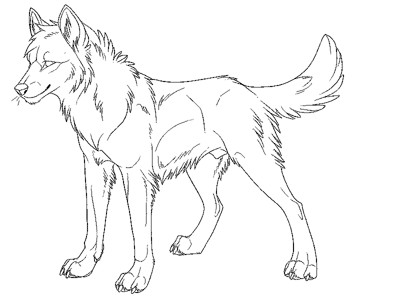 Wolf Coloring Pages Realistic Collection 800x600 Wolf Coloring Pages Realistic Collection