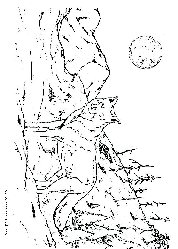 Wolf Coloring Pictures Coloring Wolf Cartoon Wolf Coloring Pages 590x821 Wolf Coloring Pictures Coloring Wolf Cartoon Wolf Coloring Pages
