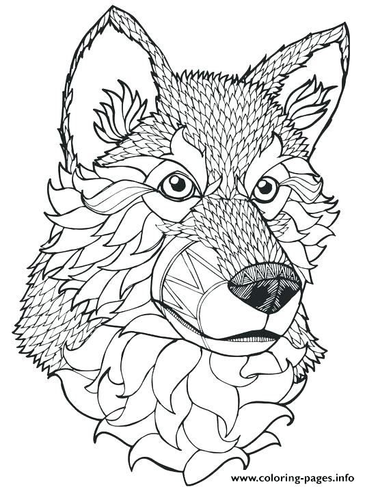 Wolf Coloring Sheets To Print Free Printable Wolf Coloring Pages 534x712 Wolf Coloring Sheets To Print Free Printable Wolf Coloring Pages
