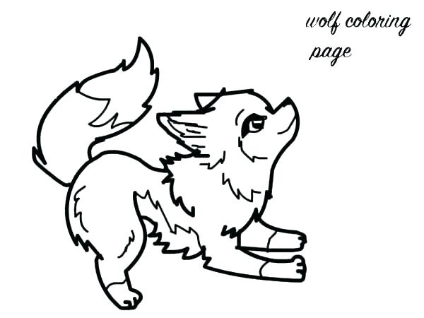Cute Narwhal Coloring Pages Narwhal Coloring Pages Baby Fox 600x450 Cute Narwhal Coloring Pages Narwhal Coloring Pages Baby Fox