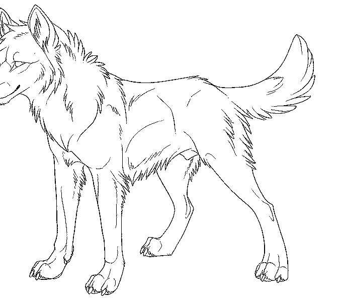 Wolf Pictures To Color And Print Coloring Page 678x600 Wolf Pictures To Color And Print Coloring Page