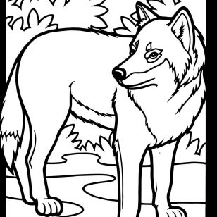 308x308 Entrancing Together With Tasty Images Of Wolf Face Coloring Page