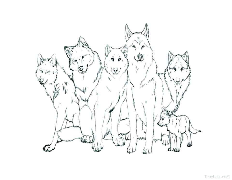 Wolf Girl Coloring Pages at GetColorings.com | Free printable colorings ...