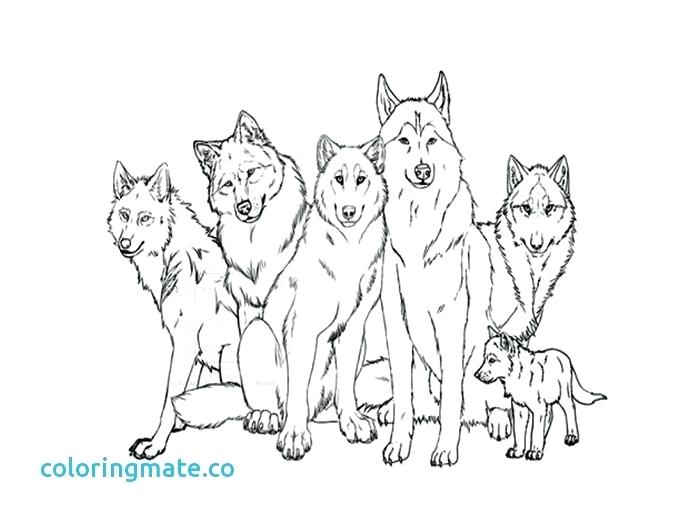 700x525 Wolf Coloring Page Wolf Coloring Pages Free Printable Wolf