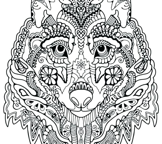 678x600 Wolf Coloring Pictures Grey Wolf Coloring Pages Look Real