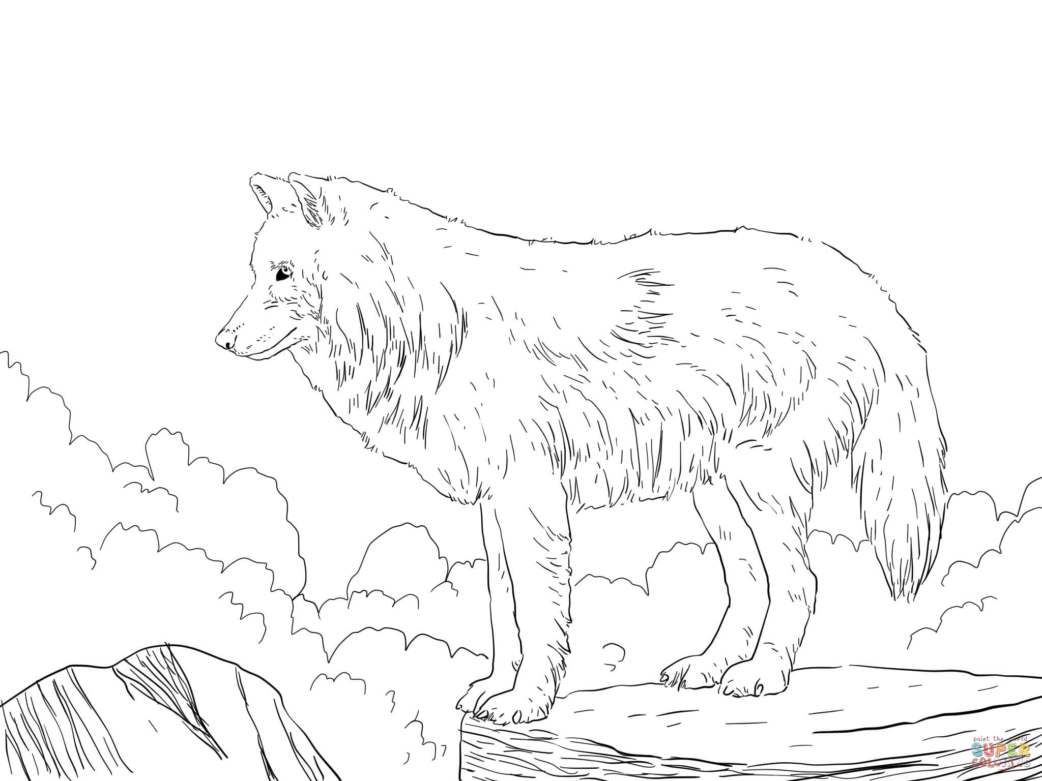 2048x1536 Realistic Wolf Howling Coloring Pages Wagashiya