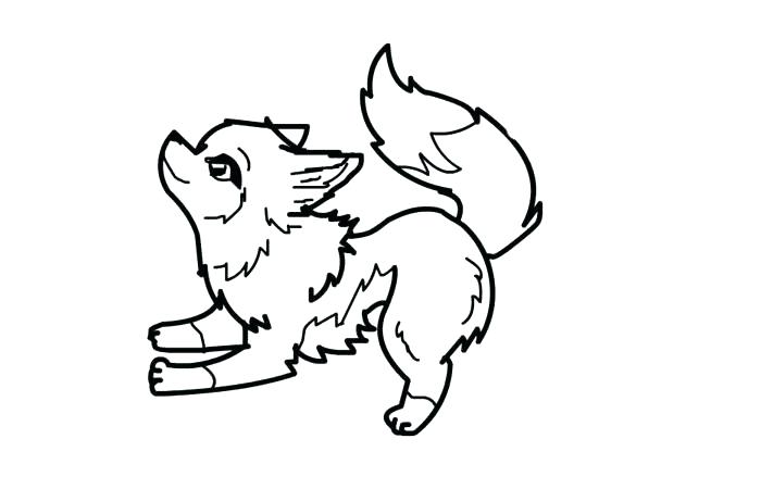 700x450 Coloring Pages Wolverine Animals Wolf