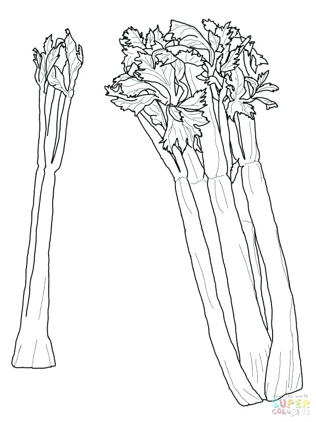 618x824 Toon Link Coloring Pages Mesmerizing Kids Wolf Printable Click