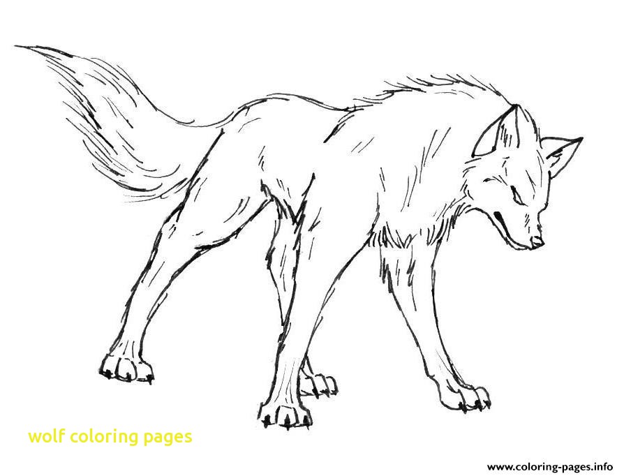 894x682 Wolf Coloring Pages Cool Wolf Coloring Pages 57