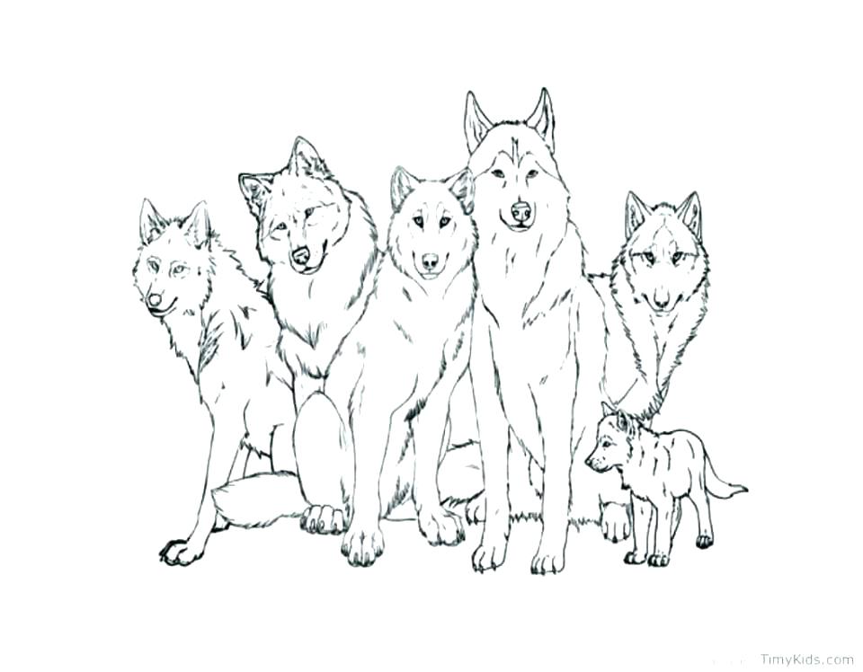 960x748 Anime Wolf Coloring Pages Coloring Wolf Wolf Coloring Wolf