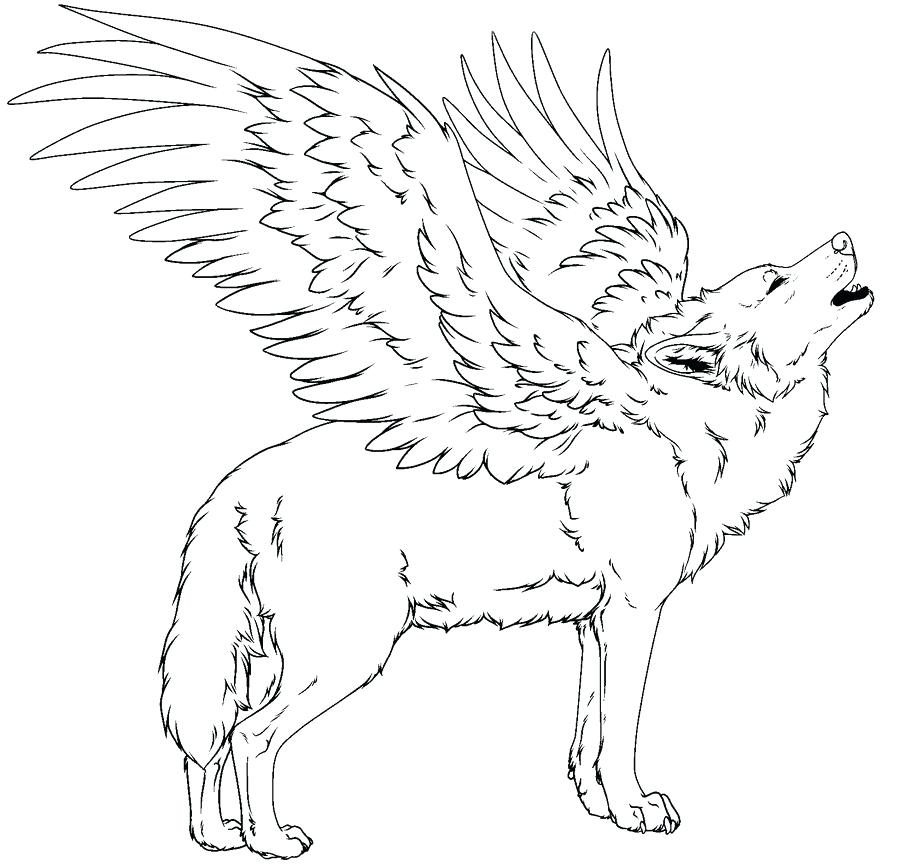 Wolf Color Pages Wolf Coloring Pages For Kids Wolf Coloring Pages 900x867 Wolf Color Pages Wolf Coloring Pages For Kids Wolf Coloring Pages
