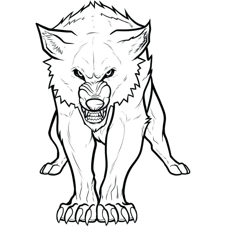 Wolf Coloring Pages Wolf Printable Coloring Pages Free Printable 736x736 Wolf Coloring Pages Wolf Printable Coloring Pages Free Printable