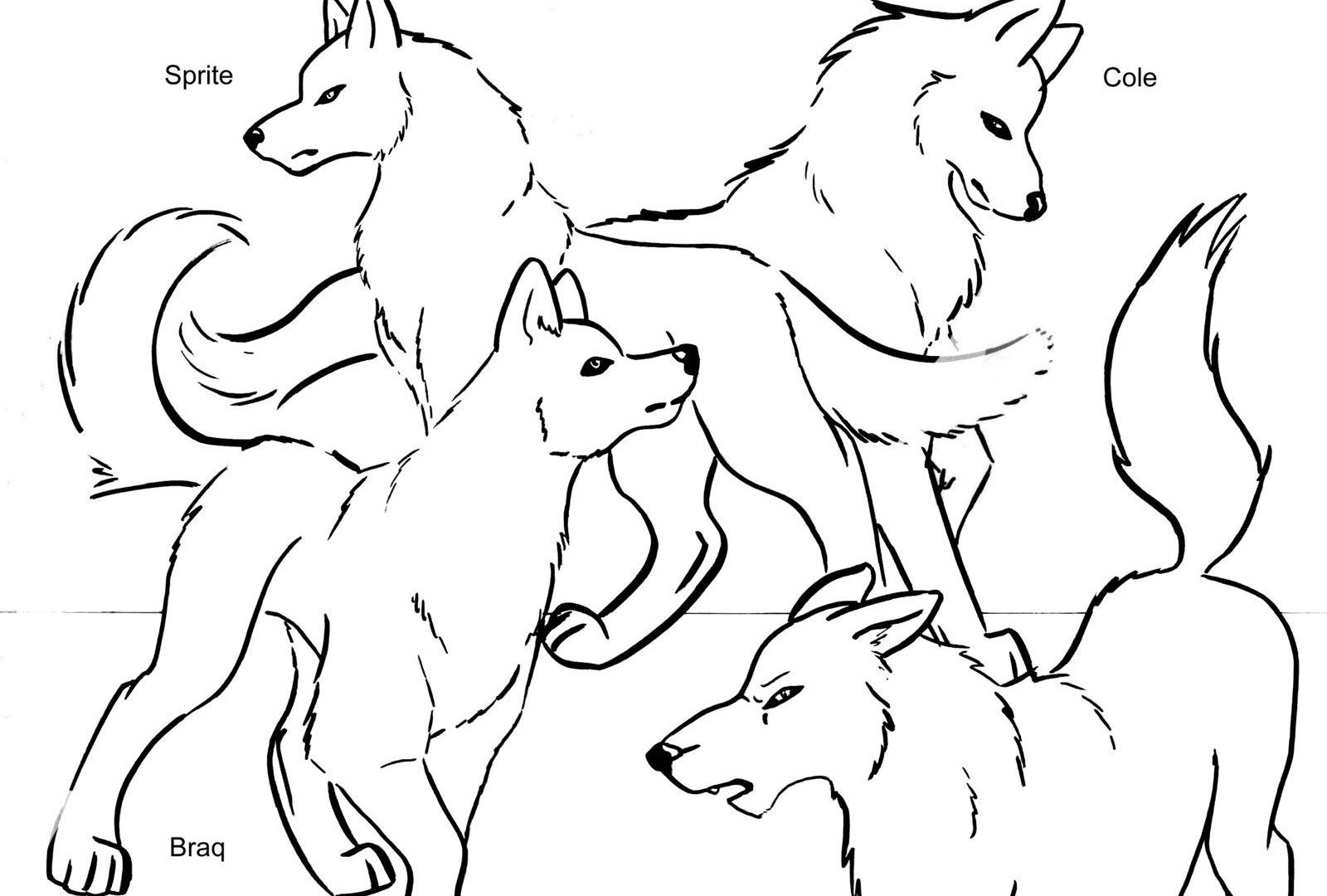Realistic Wolf Coloring Pages Free Printable General Minecraft 1600x1080 Realistic Wolf Coloring Pages Free Printable General Minecraft