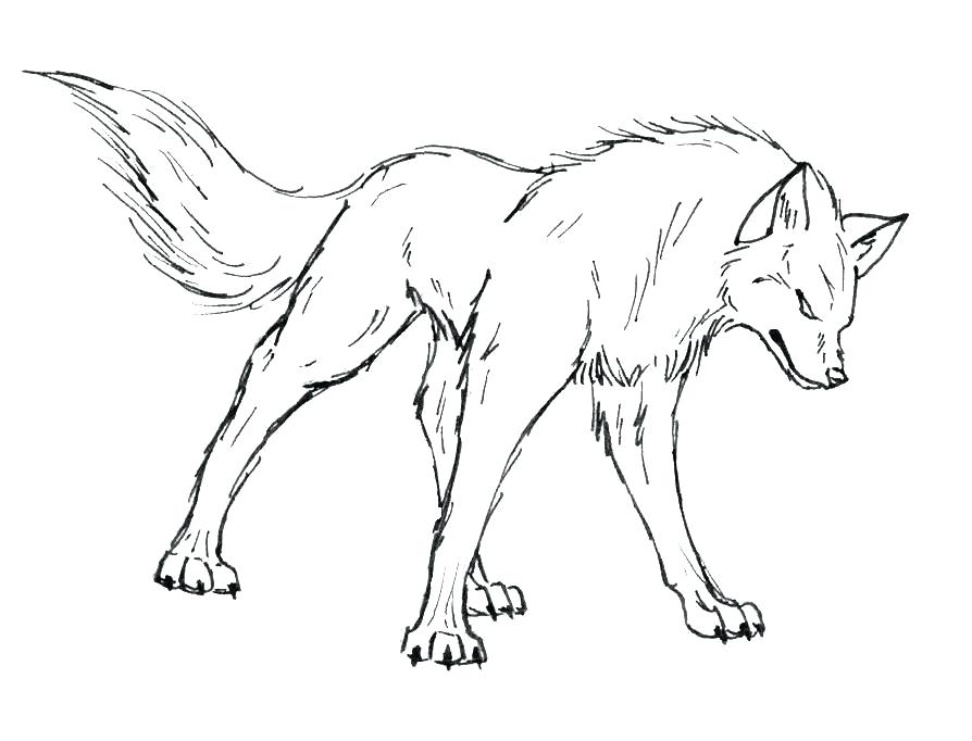 894x682 Wolf Coloring Page