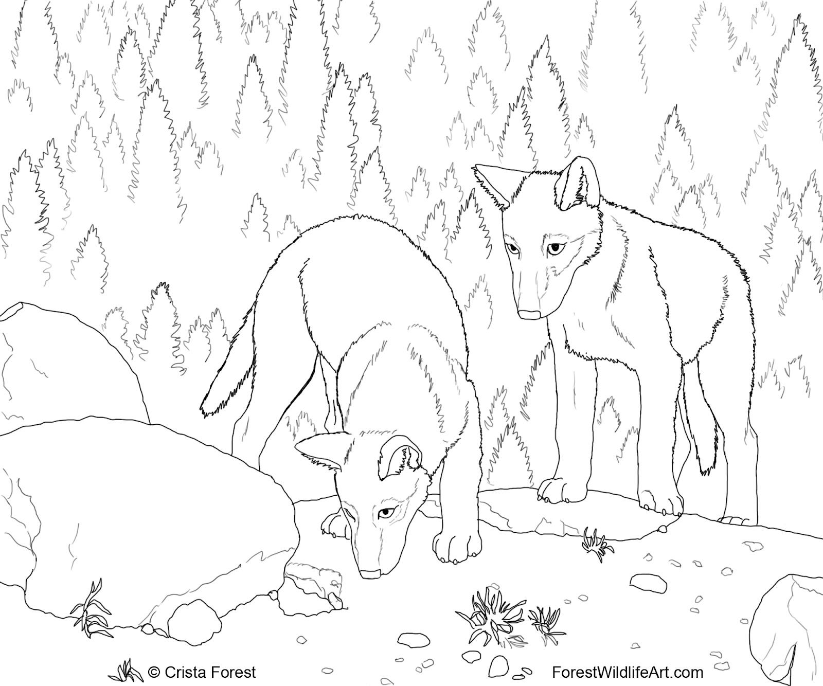 1600x1334 Cute Wolf Coloring Pages Forest Wildlife Art Wolf Pups Coloring