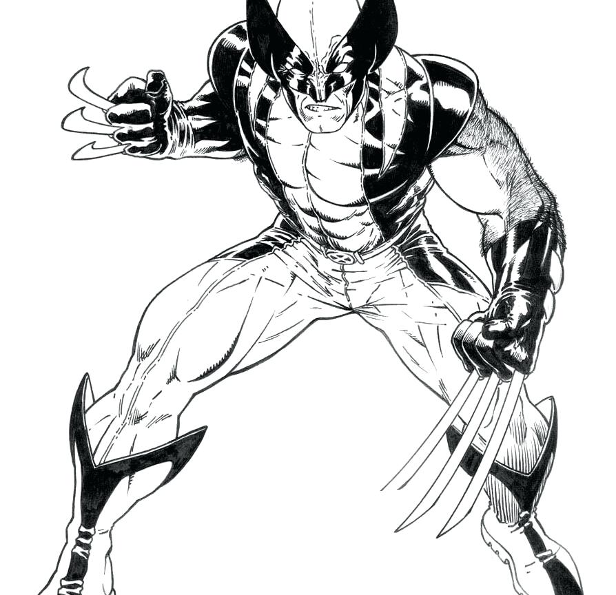 Wolverine Coloring Page Free Printable Wolverine Coloring Pages 894x864 Wolverine Coloring Page Free Printable Wolverine Coloring Pages