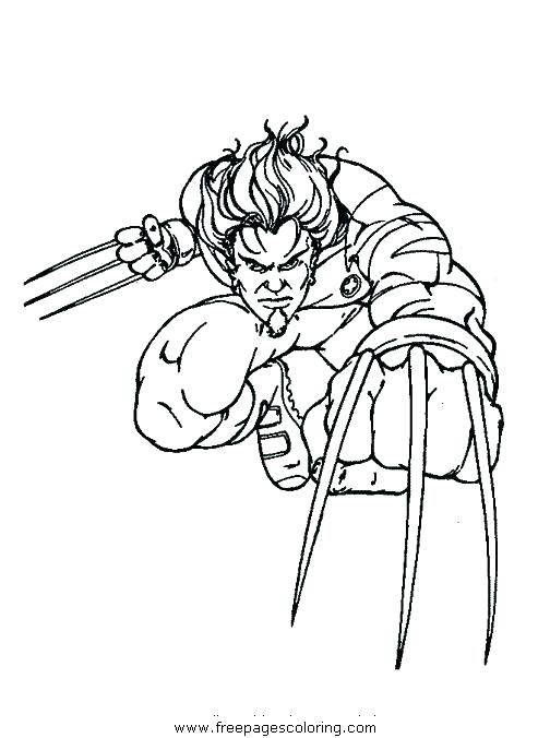 Wolverine Coloring Pages To Print Wolverine Animal Coloring Pages 504x676 Wolverine Coloring Pages To Print Wolverine Animal Coloring Pages