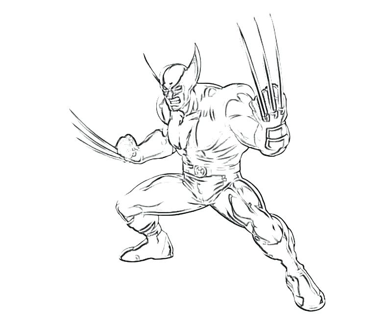 Wolverine Coloring Wolverine Printable Coloring Pages Wolverine 800x667 Wolverine Coloring Wolverine Printable Coloring Pages Wolverine