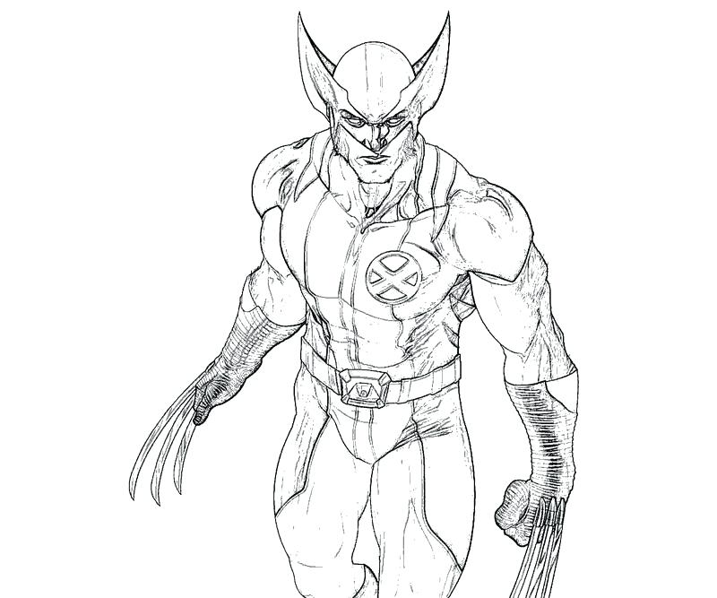 800x667 Wolverine Animal Cartoon Coloring Page Black And White Clip
