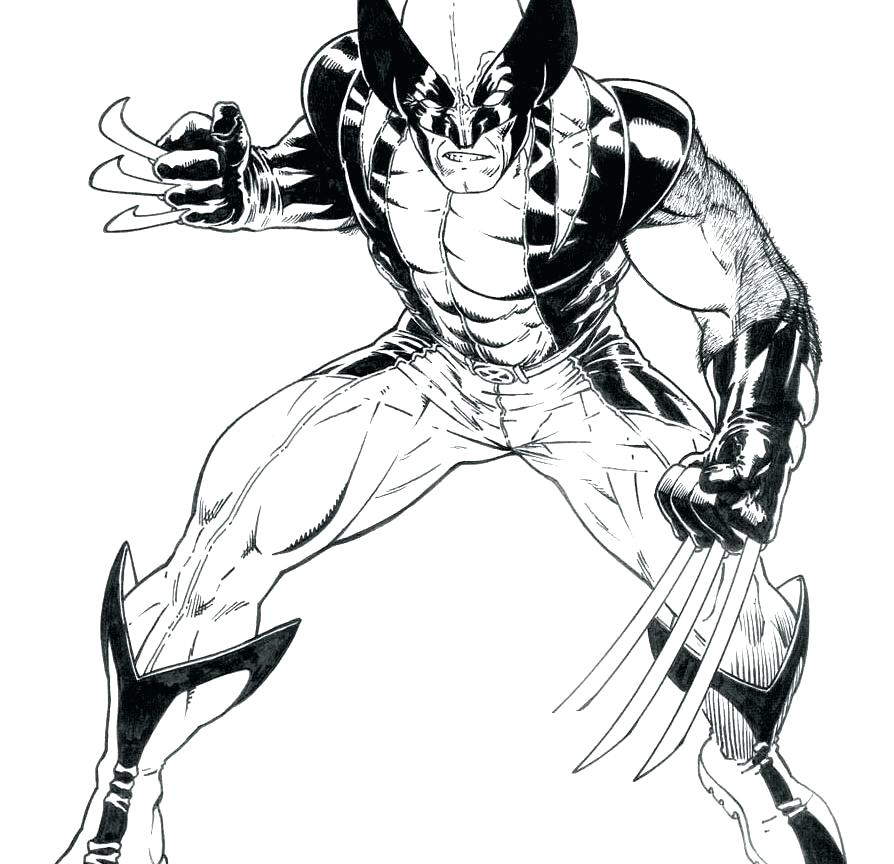 894x864 Wolverine Coloring Page Wolverine Color Pages Cute Wolverine