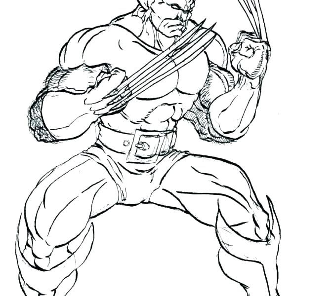 678x600 Wolverine Coloring Page Wolverine Coloring Page Wolverine Coloring